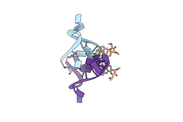 5YZE image