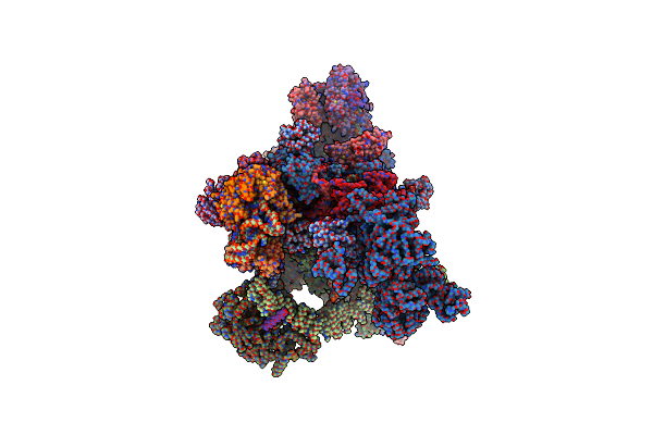 5YZG image