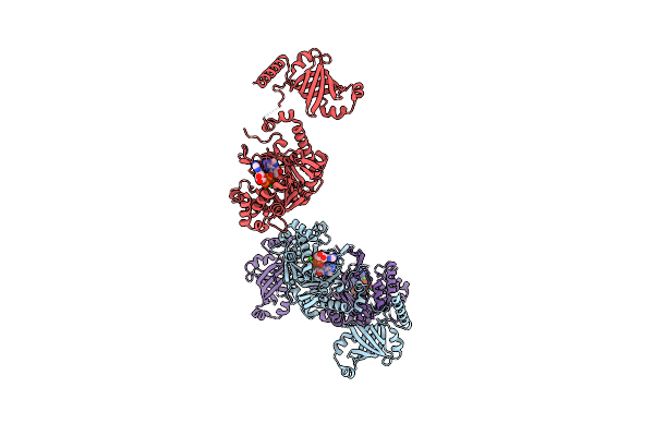 5YZX image