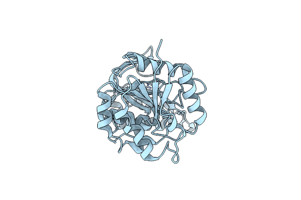 5Z01 image