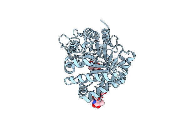 5Z05 image