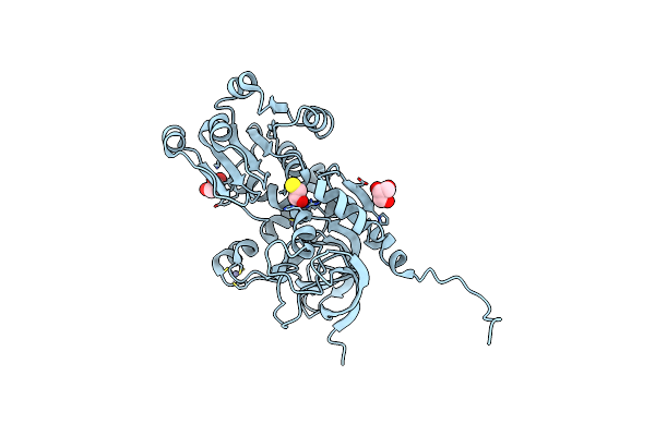 5Z0C image