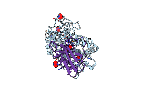 5Z0D image