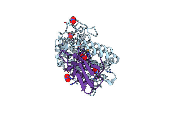 5Z0E image