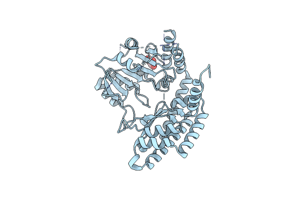 5Z0Y image