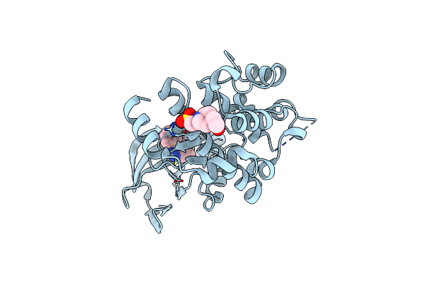5Z1D image