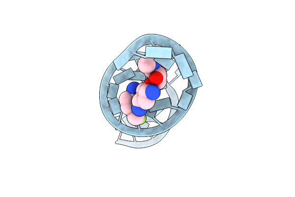 5Z1I image