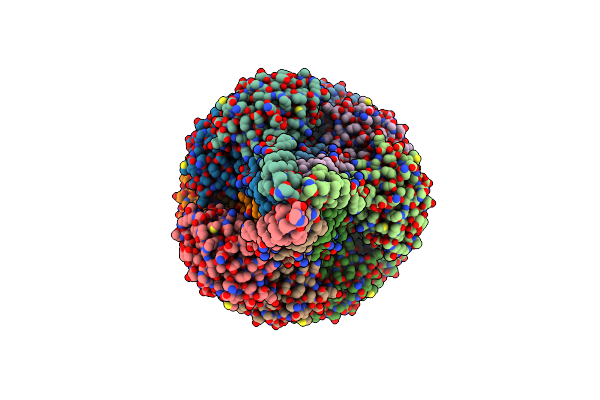 5Z1L image