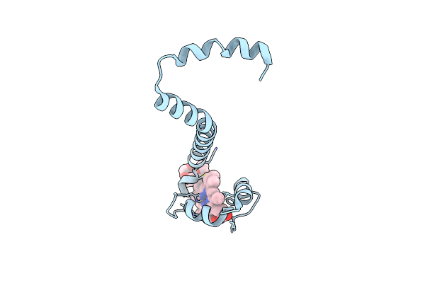 5Z25 image