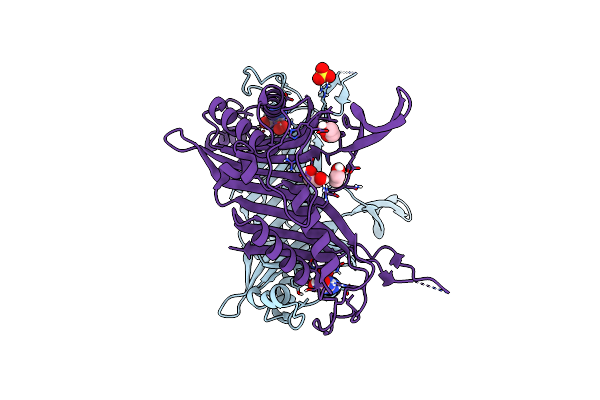 5Z2B image