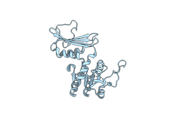 5Z2D image
