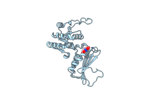5Z2E image