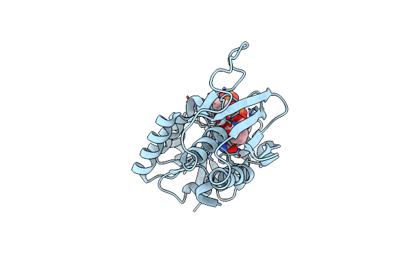 5Z2F image