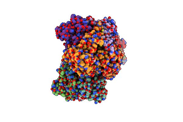5Z2L image