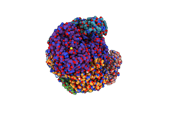 5Z2P image