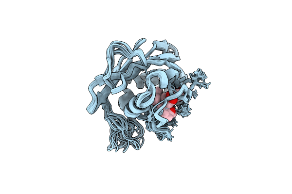 5Z36 image