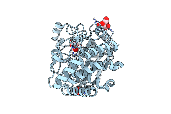 5Z3D image