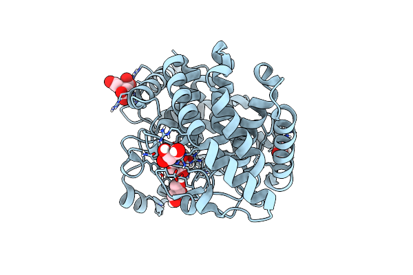 5Z3F image