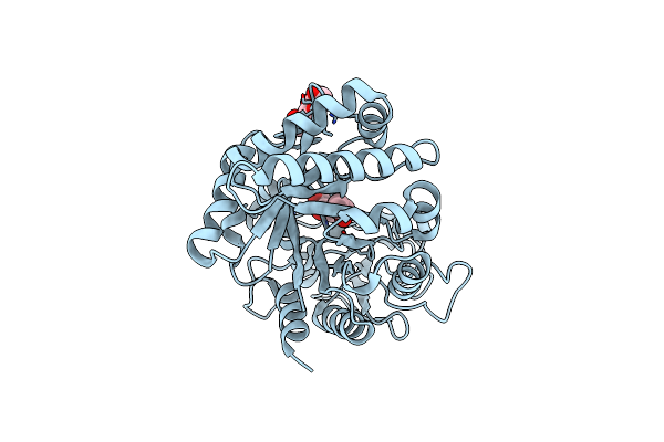 5Z3S image