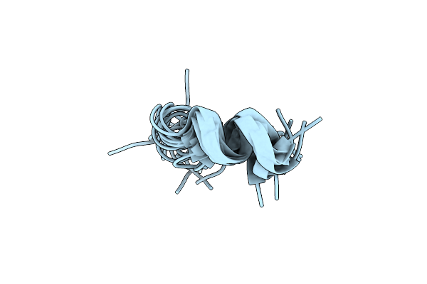 5Z5X image