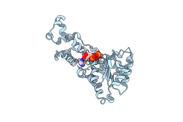 5Z6R image