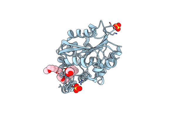 5Z89 image