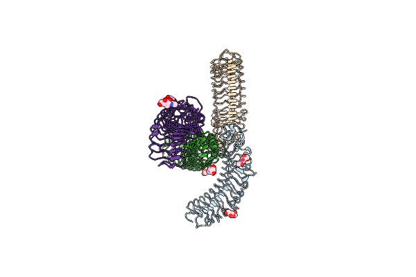 5Z8X image