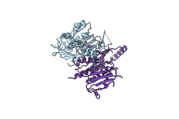5Z9A image