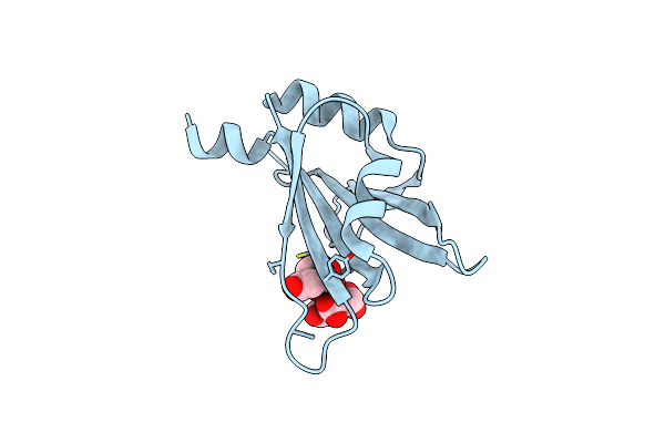 5Z9Z image