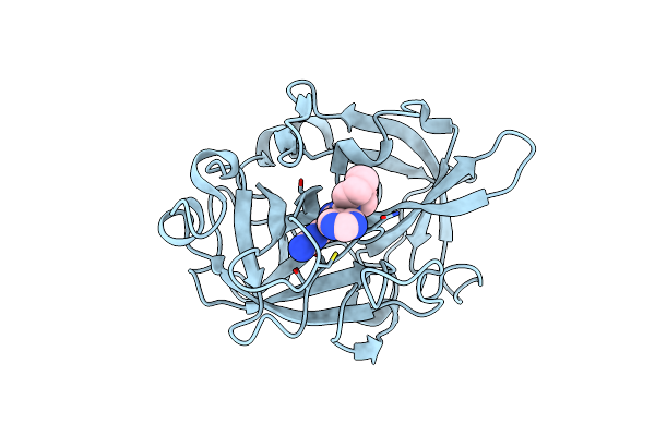 5ZAG image