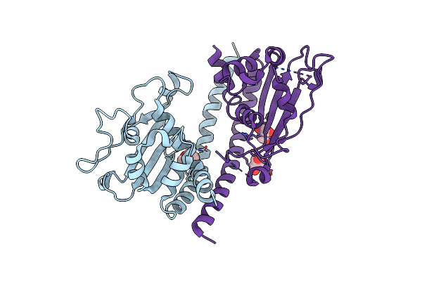 5ZB5 image