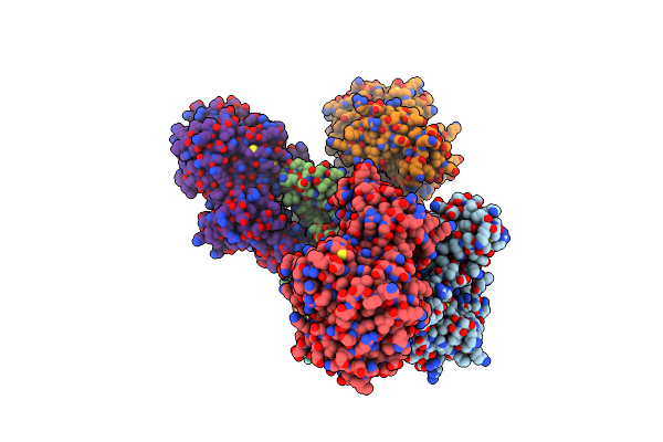 5ZB8 image