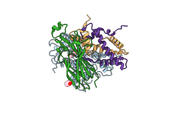 5ZBB image