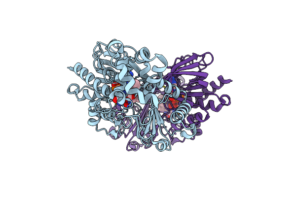 5ZBD image
