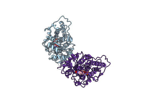 5ZBM image