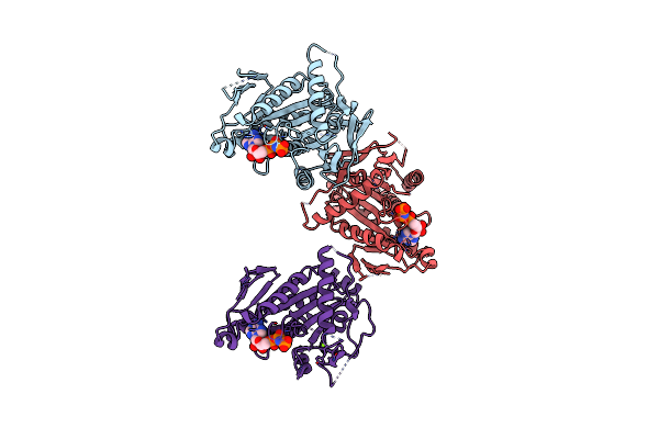 5ZBS image