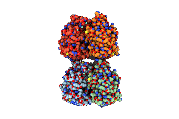 5ZC0 image