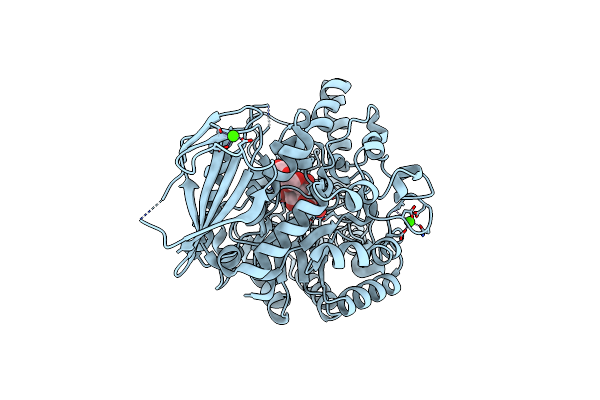 5ZCD image