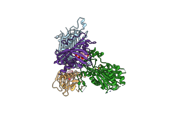 5ZCH image