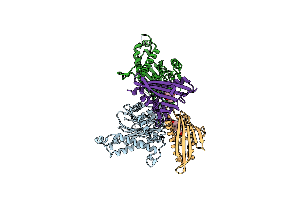 5ZCL image