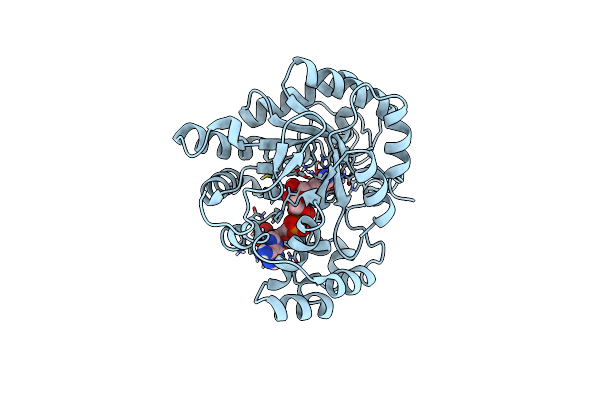 5ZCM image