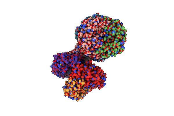 5ZCT image