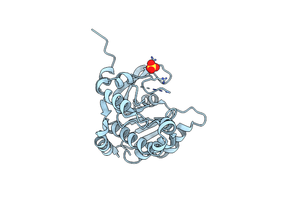 5ZDA image