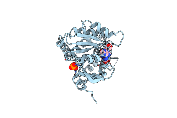 5ZDD image