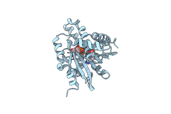 5ZDG image