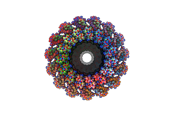 5ZDH image