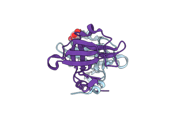 5ZDI image