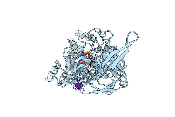 5ZDK image