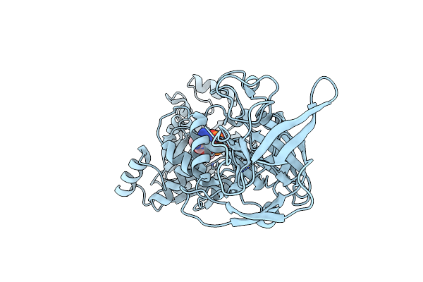 5ZDL image