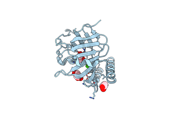 5ZDM image